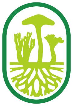 Fundis Logo - Low Resolution Fair Use
